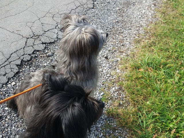 Obermaiselstein 2018 (11)